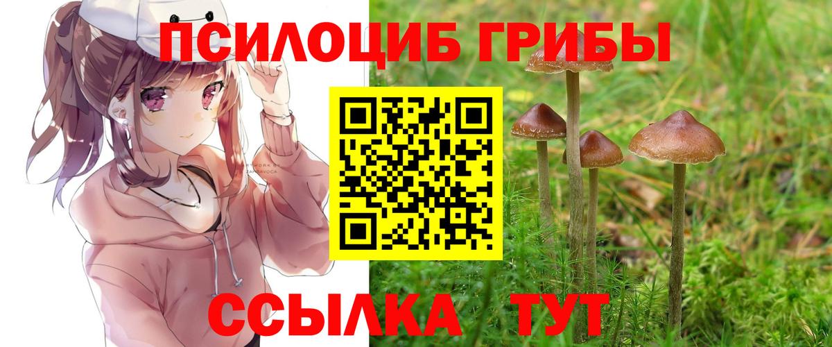 Вышний Волочёк  Псилоцибиновые грибы Magic Shrooms  Вход с VPN 
